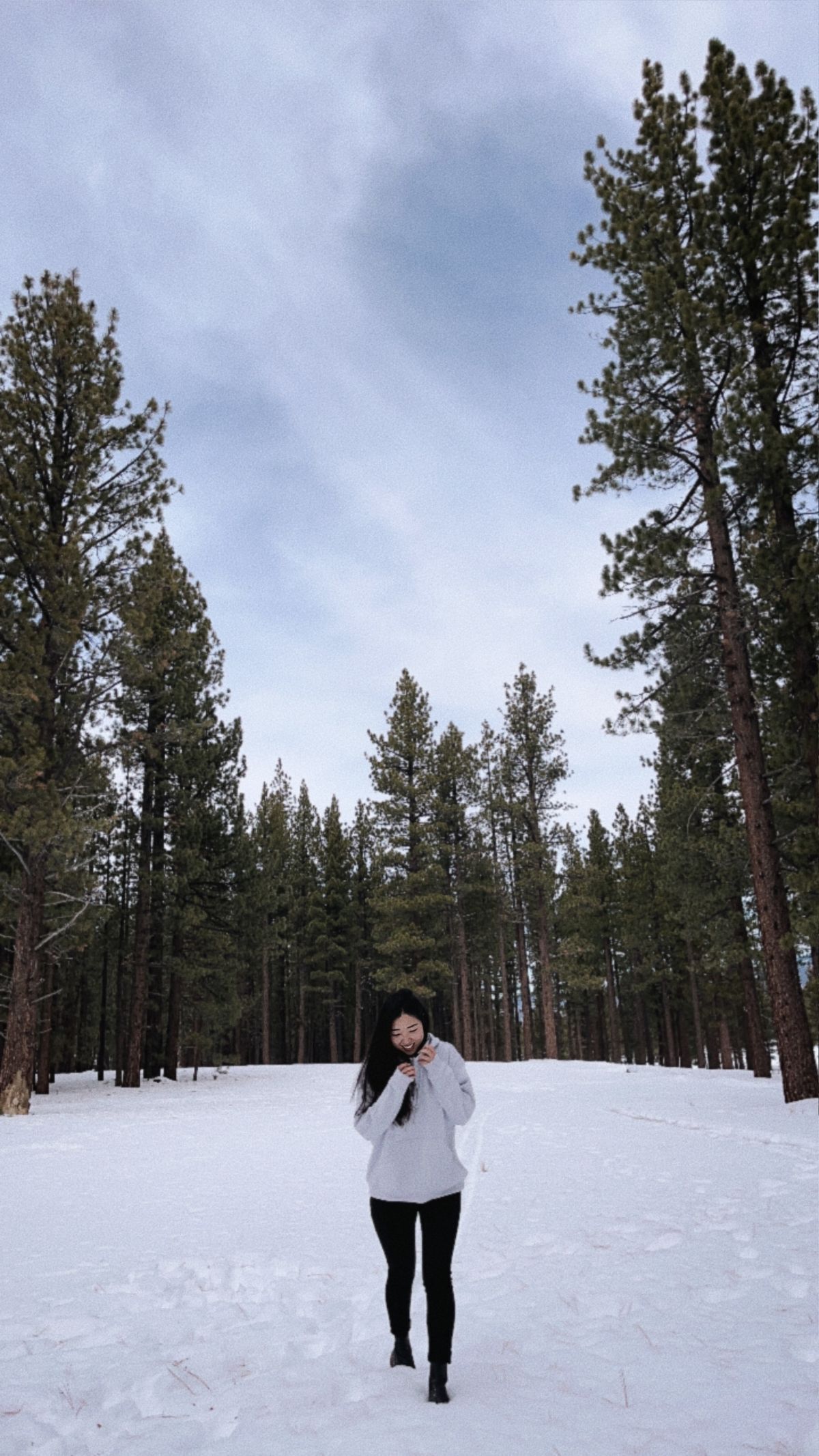 3 Budget Friendly Christmas Activities